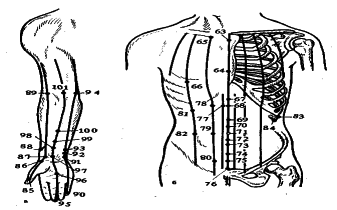���������� - �������� ���������� �������� (�������������)