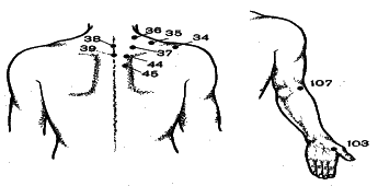 ���������� - �������� ���������� �������� (�������������)