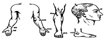 ���������� - �������� ���������� �������� (�������������)