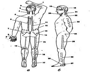 ���������� - �������� ���������� �������� (�������������)