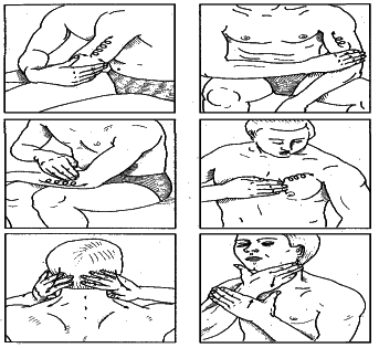 ���������� - �������� ���������� �������� (�������������)