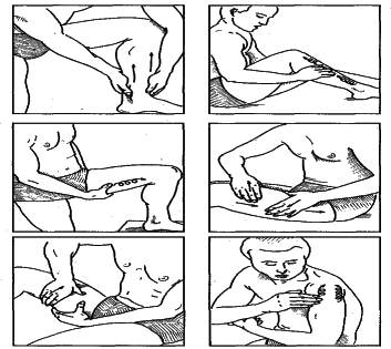 ���������� - �������� ���������� �������� (�������������)