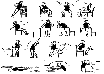 ���������� - �������� ���������� �������� (�������������)