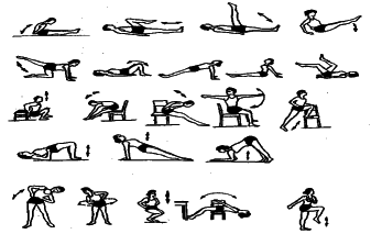 ���������� - �������� ���������� �������� (�������������)