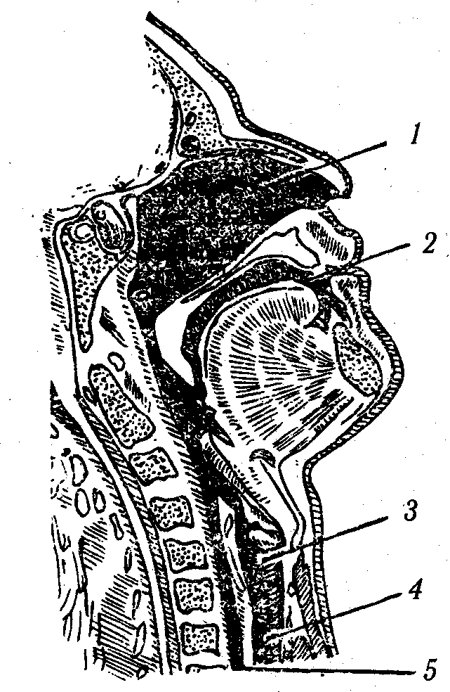 ������� - ���������� �������� ��������