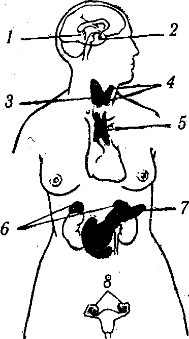 ������� - ���������� �������� ��������