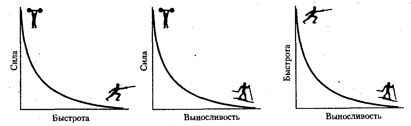 ������� - ���������� �������� ��������