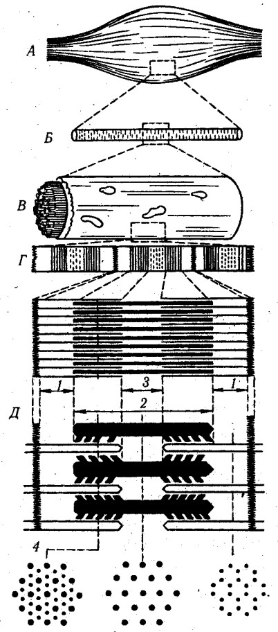 ������� - ���������� �������� ��������