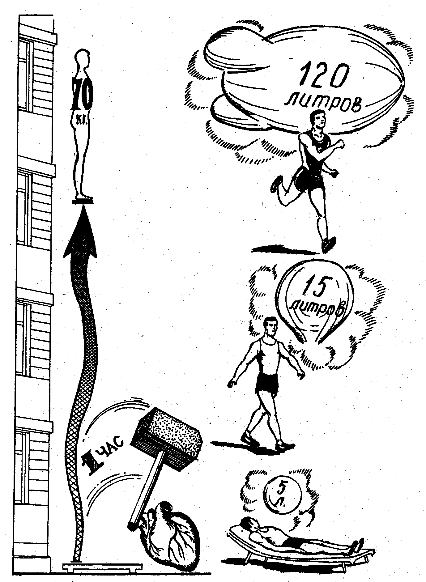 ������� - ���������� �������� ��������