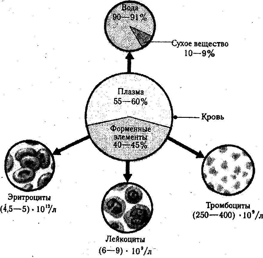 ������� - ���������� �������� ��������