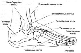 Робинсон - Пилатес - Путь Вперёд