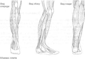 Робинсон - Пилатес - Путь Вперёд
