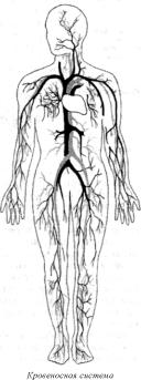 Робинсон - Пилатес - Путь Вперёд