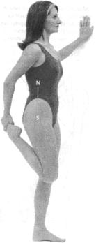 Робинсон - Пилатес - Путь Вперёд