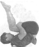 Робинсон - Пилатес - Путь Вперёд