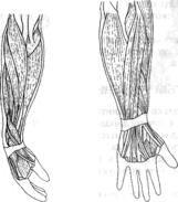 Робинсон - Пилатес - Путь Вперёд