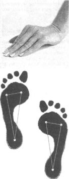 Робинсон - Пилатес - Путь Вперёд