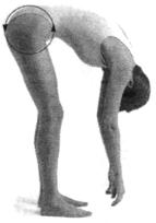 Робинсон - Пилатес - Путь Вперёд