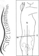 Робинсон - Пилатес - Путь Вперёд