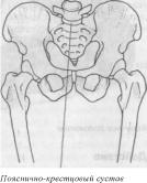 Робинсон - Пилатес - Путь Вперёд