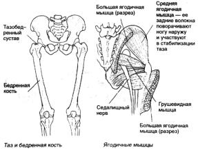 Робинсон - Пилатес - Путь Вперёд