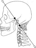 Робинсон - Пилатес - Путь Вперёд