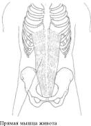 Робинсон - Пилатес - Путь Вперёд