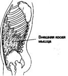 Робинсон - Пилатес - Путь Вперёд