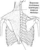 Робинсон - Пилатес - Путь Вперёд