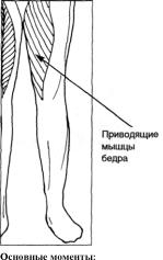 Тонус внутренней стороны бедра