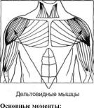 Тонус внутренней стороны бедра