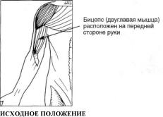 Тонус внутренней стороны бедра