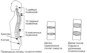 Разминка подколенных мышц