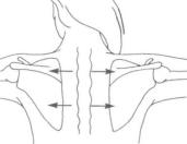 Разминка подколенных мышц