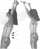 Подъемы шеста