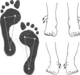 Вращение ступней