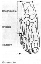 Вращение ступней
