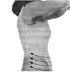 ПОЗНАЙ САМОГО СЕБЯ