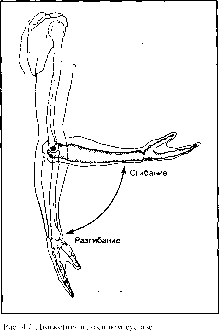 ����� - ����������� ����������� ���������������� �������