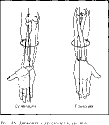 ����� - ����������� ����������� ���������������� �������