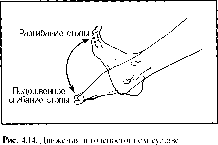 ����� - ����������� ����������� ���������������� �������