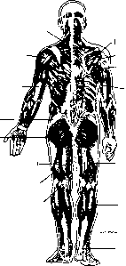 ����� - ����������� ����������� ���������������� �������