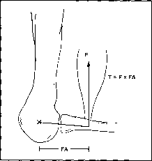 ����� - ����������� ����������� ���������������� �������