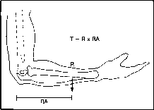 ����� - ����������� ����������� ���������������� �������