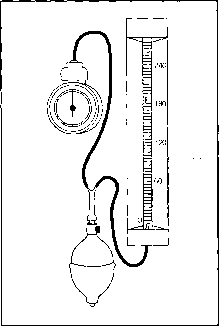 ����� - ����������� ����������� ���������������� �������