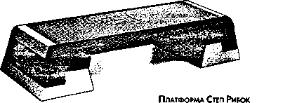 Миллер Д. - ИНСТРУКЦИЯ ПО ПРОФЕССИОНАЛЬНОМУ ОБУЧЕНИЮ СТЕП РИБОК