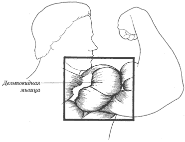 ������������ �����.