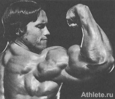 ������������ - ����� ������������ ������������ - ��.3