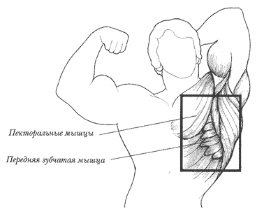 ����� ������� ������: ������������ �����, �������� �������� �����