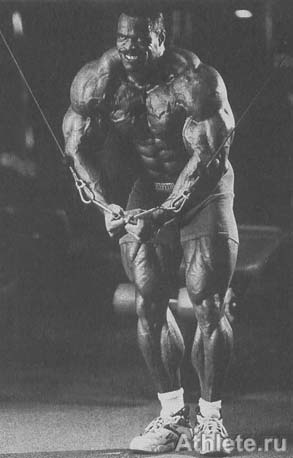 ������������ - ����� ������������ ������������ - ��.3